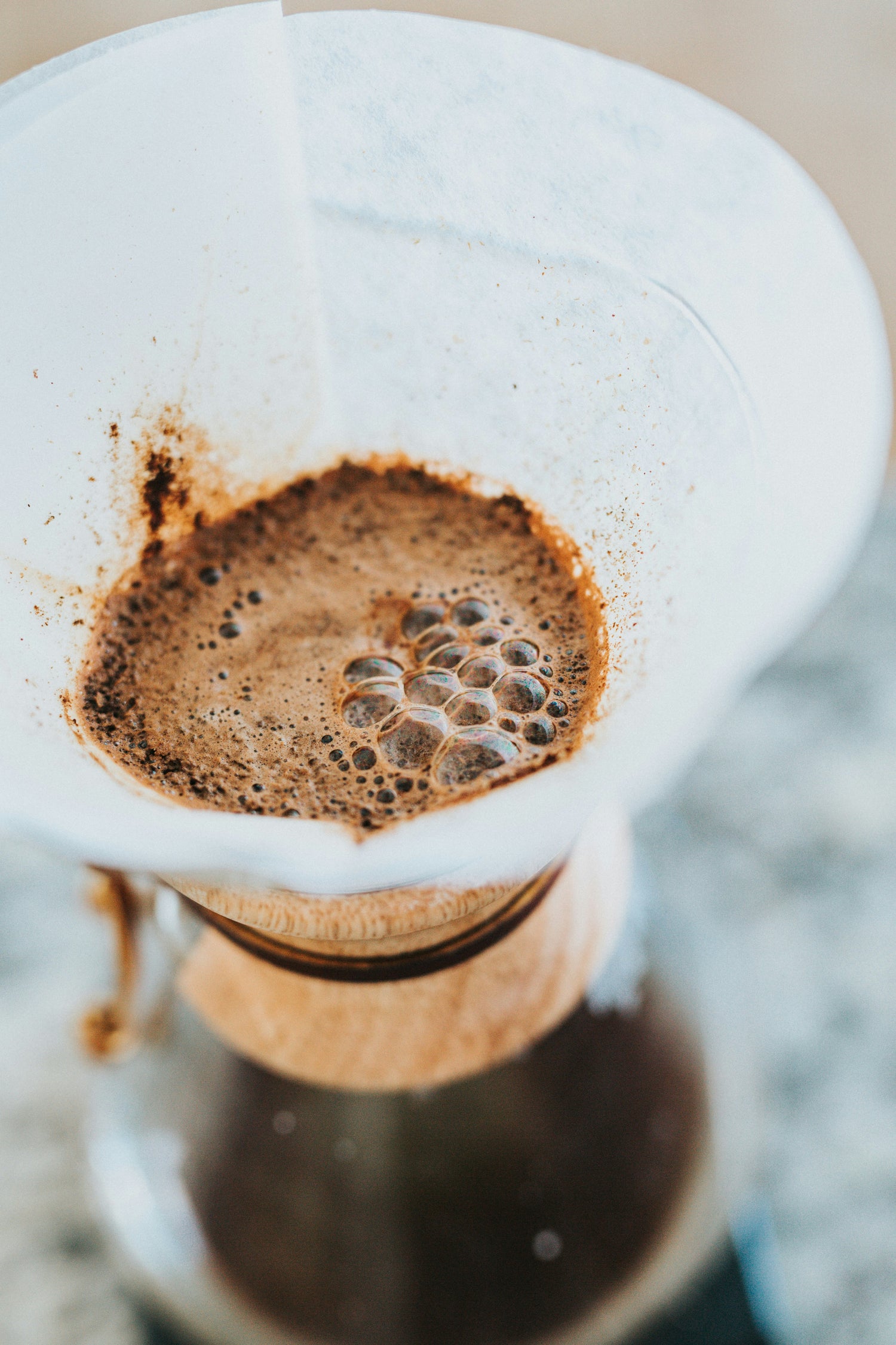 Infusion de chicorée au chemex